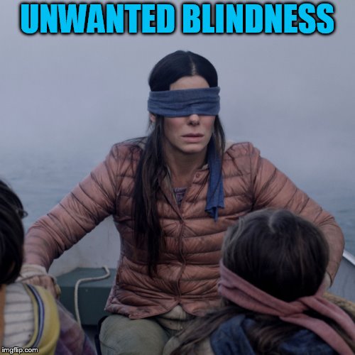 Bird Box Meme | UNWANTED BLINDNESS | image tagged in bird box | made w/ Imgflip meme maker