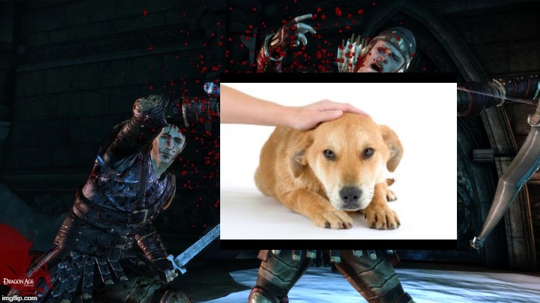 The People of Ferelden Love Dogs | image tagged in petting,dog,dragon age | made w/ Imgflip meme maker