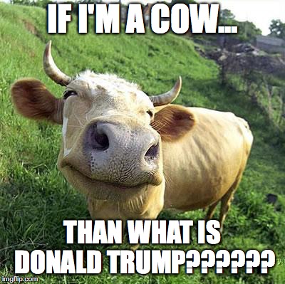 Cow | IF I'M A COW... THAN WHAT IS DONALD TRUMP?????? | image tagged in cow | made w/ Imgflip meme maker