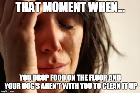 First World Problems Meme | THAT MOMENT WHEN... YOU DROP FOOD ON THE FLOOR AND YOUR DOG'S AREN'T WITH YOU TO CLEAN IT UP | image tagged in memes,first world problems | made w/ Imgflip meme maker