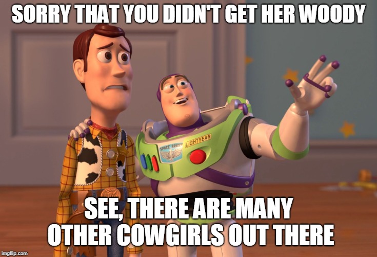 X, X Everywhere Meme | SORRY THAT YOU DIDN'T GET HER WOODY; SEE, THERE ARE MANY OTHER COWGIRLS OUT THERE | image tagged in memes,x x everywhere | made w/ Imgflip meme maker