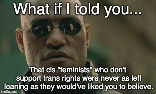 Matrix Morpheus Meme | What if I told you... That cis "feminists" who don't support trans rights were never as left leaning as they would've liked you to believe. | image tagged in memes,matrix morpheus | made w/ Imgflip meme maker