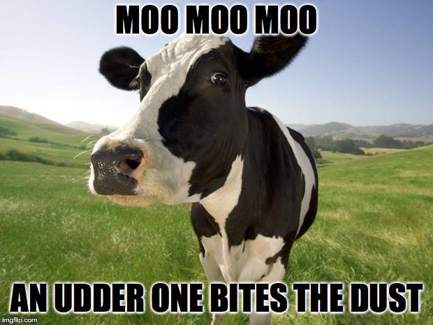 cow | MOO MOO MOO AN UDDER ONE BITES THE DUST | image tagged in cow | made w/ Imgflip meme maker