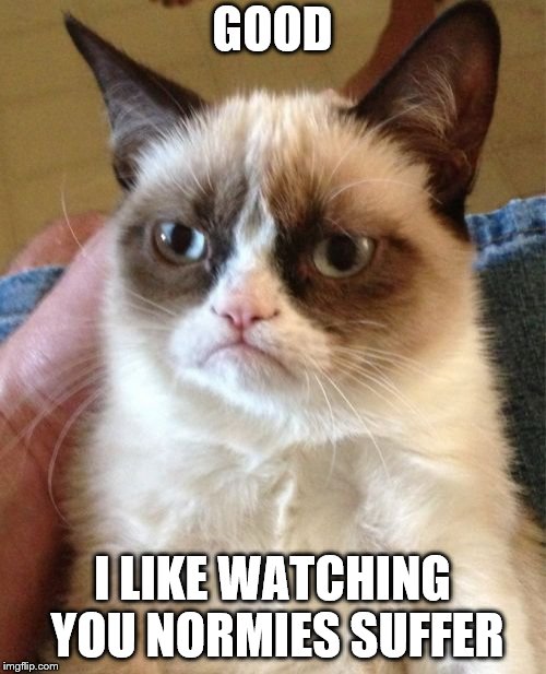 Grumpy Cat Meme | GOOD I LIKE WATCHING YOU NORMIES SUFFER | image tagged in memes,grumpy cat | made w/ Imgflip meme maker