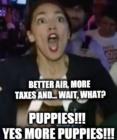 aoc puppies! | BETTER AIR, MORE TAXES AND... WAIT, WHAT? PUPPIES!!! YES MORE PUPPIES!!! | image tagged in puppy,puppies,aoc,alexandria ocasio-cortez,politics,liberal logic | made w/ Imgflip meme maker