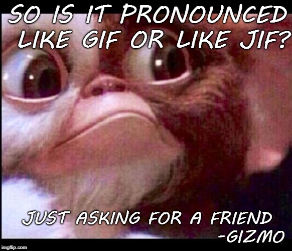 Gizmo | SO IS IT PRONOUNCED LIKE GIF OR LIKE JIF? JUST ASKING FOR A FRIEND                         -GIZMO | image tagged in gizmo | made w/ Imgflip meme maker