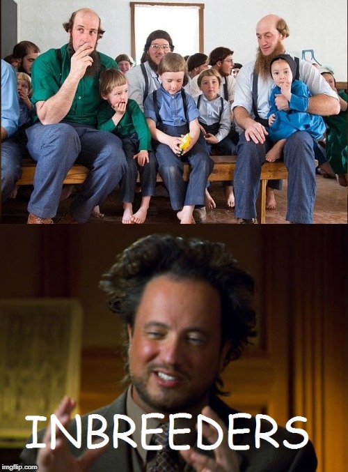 AMISH | image tagged in amish,ancient aliens guy | made w/ Imgflip meme maker