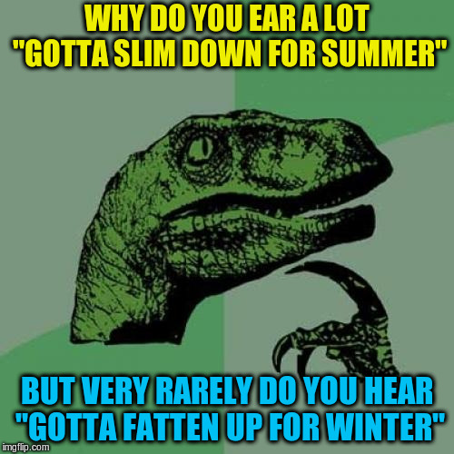Philosoraptor Meme | WHY DO YOU EAR A LOT "GOTTA SLIM DOWN FOR SUMMER"; BUT VERY RARELY DO YOU HEAR "GOTTA FATTEN UP FOR WINTER" | image tagged in memes,philosoraptor | made w/ Imgflip meme maker