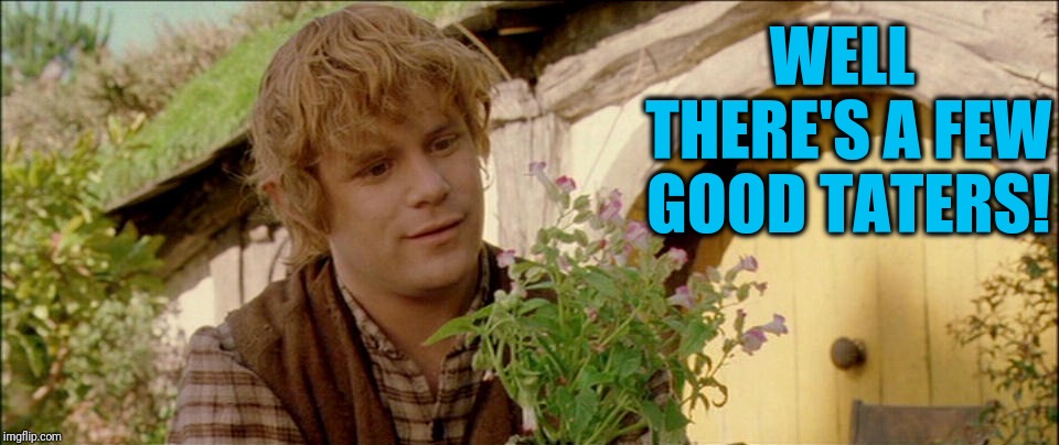 SAM LOTR | WELL THERE'S A FEW GOOD TATERS! | image tagged in sam lotr | made w/ Imgflip meme maker
