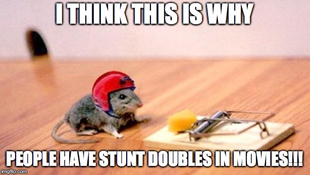 Mouse Trap | I THINK THIS IS WHY; PEOPLE HAVE STUNT DOUBLES IN MOVIES!!! | image tagged in mouse trap | made w/ Imgflip meme maker