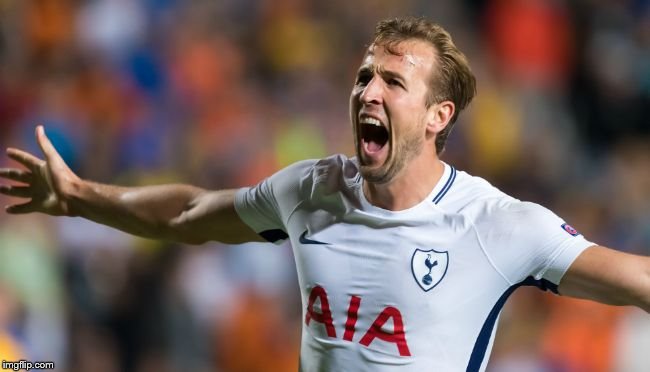 Harry Kane Scores | image tagged in harry kane scores | made w/ Imgflip meme maker