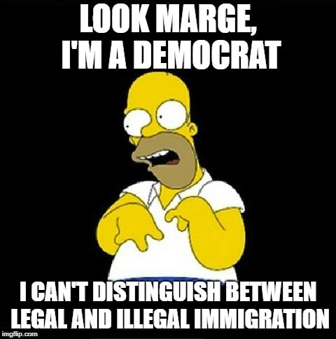 Homer Simpson Retarded | LOOK MARGE, I'M A DEMOCRAT; I CAN'T DISTINGUISH BETWEEN LEGAL AND ILLEGAL IMMIGRATION | image tagged in homer simpson retarded | made w/ Imgflip meme maker