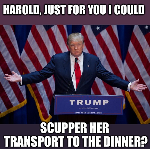 Donald Trump | HAROLD, JUST FOR YOU I COULD SCUPPER HER TRANSPORT TO THE DINNER? | image tagged in donald trump | made w/ Imgflip meme maker