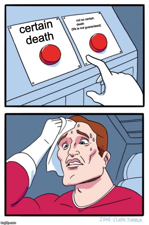 Two Buttons | not so certain death               (life is not guaranteed); certain death | image tagged in memes,two buttons | made w/ Imgflip meme maker