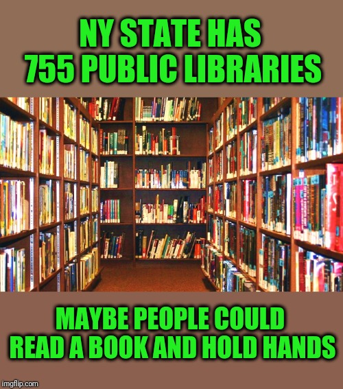 Alternatives to the irresponsible Reproductive Health Act | NY STATE HAS 755 PUBLIC LIBRARIES; MAYBE PEOPLE COULD READ A BOOK AND HOLD HANDS | image tagged in library | made w/ Imgflip meme maker