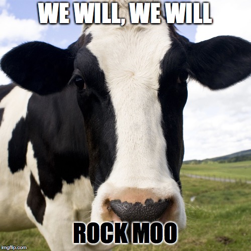 WE WILL, WE WILL ROCK MOO | image tagged in beautiful cow | made w/ Imgflip meme maker