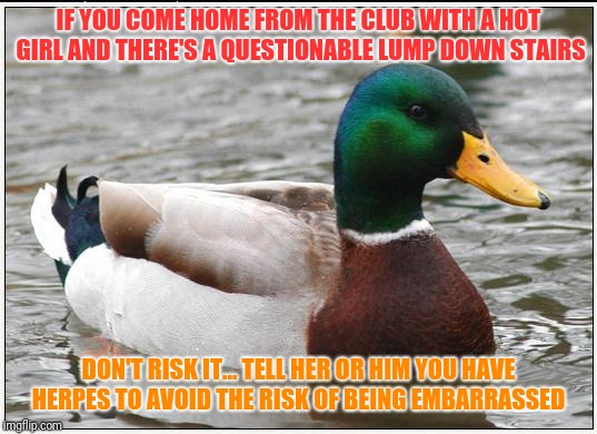 Actual Advice Mallard Meme | IF YOU COME HOME FROM THE CLUB WITH A HOT GIRL AND THERE'S A QUESTIONABLE LUMP DOWN STAIRS; DON'T RISK IT... TELL HER OR HIM YOU HAVE HERPES TO AVOID THE RISK OF BEING EMBARRASSED | image tagged in memes,actual advice mallard | made w/ Imgflip meme maker