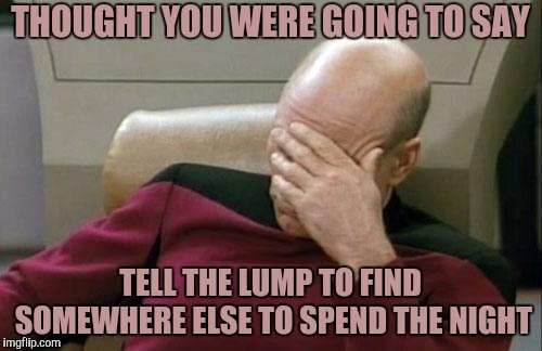 Captain Picard Facepalm Meme | THOUGHT YOU WERE GOING TO SAY TELL THE LUMP TO FIND SOMEWHERE ELSE TO SPEND THE NIGHT | image tagged in memes,captain picard facepalm | made w/ Imgflip meme maker