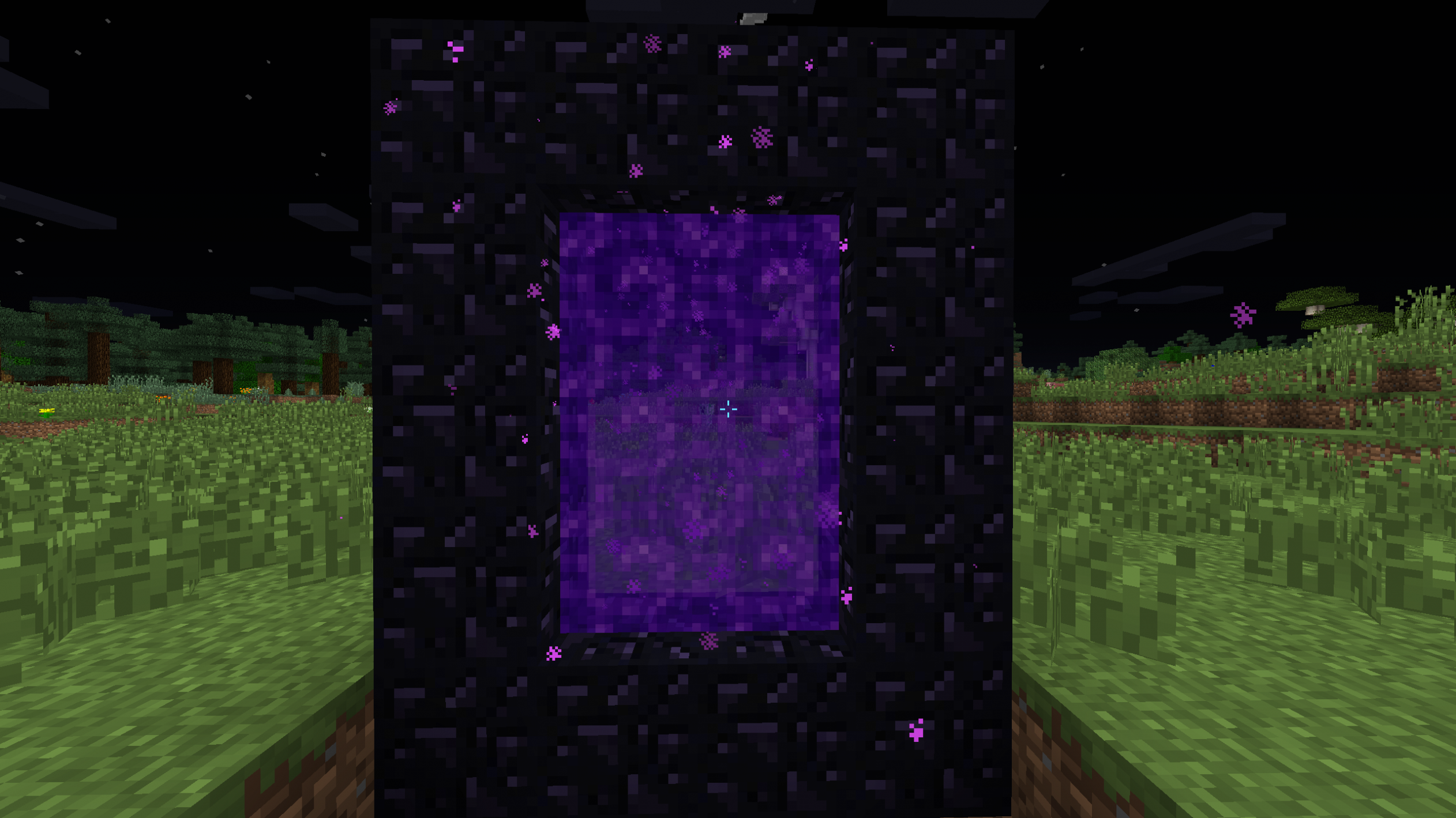 Nether Portal Blank Meme Template