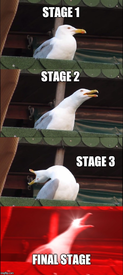 Inhaling Seagull | STAGE 1; STAGE 2; STAGE 3; FINAL STAGE | image tagged in memes,inhaling seagull | made w/ Imgflip meme maker