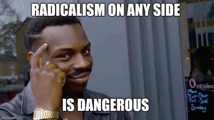 Roll Safe Think About It Meme | RADICALISM ON ANY SIDE IS DANGEROUS | image tagged in memes,roll safe think about it | made w/ Imgflip meme maker