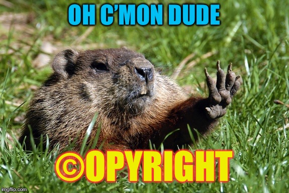Woodchuck Nope | OH C’MON DUDE ©OPYRIGHT | image tagged in woodchuck nope | made w/ Imgflip meme maker