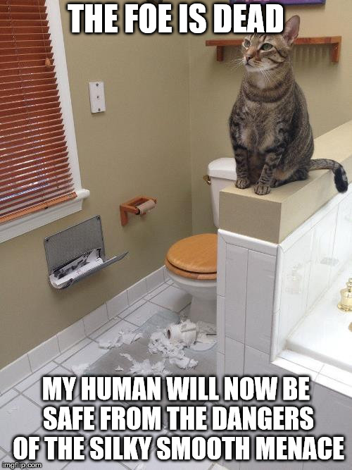 Defeated bogroll  | THE FOE IS DEAD; MY HUMAN WILL NOW BE SAFE FROM THE DANGERS OF THE SILKY SMOOTH MENACE | image tagged in funny cats,toilet paper,toilet humor,humor | made w/ Imgflip meme maker