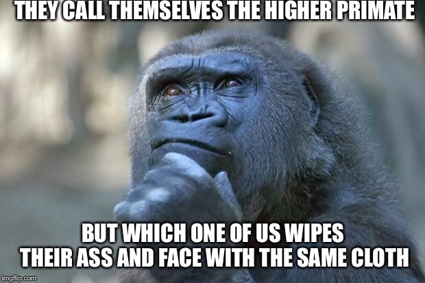 The Cold War is officially over!! | THEY CALL THEMSELVES THE HIGHER PRIMATE; BUT WHICH ONE OF US WIPES THEIR ASS AND FACE WITH THE SAME CLOTH | image tagged in the thinking gorilla | made w/ Imgflip meme maker