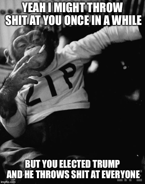 chimpy | YEAH I MIGHT THROW SHIT AT YOU ONCE IN A WHILE; BUT YOU ELECTED TRUMP AND HE THROWS SHIT AT EVERYONE | image tagged in chimpy | made w/ Imgflip meme maker