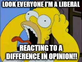 Homer Freak Out | LOOK EVERYONE I'M A LIBERAL REACTING TO A DIFFERENCE IN OPINION!! | image tagged in homer freak out | made w/ Imgflip meme maker
