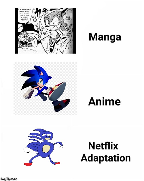 Manga, Anime, Netflix adaption | image tagged in manga anime netflix adaption,sonic the hedgehog | made w/ Imgflip meme maker