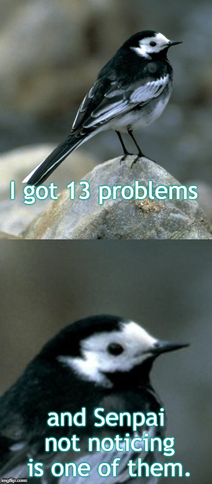 Clinically Depressed Pied Wagtail | I got 13 problems and Senpai not noticing is one of them. | image tagged in clinically depressed pied wagtail | made w/ Imgflip meme maker