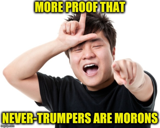 You're a loser | MORE PROOF THAT NEVER-TRUMPERS ARE MORONS | image tagged in you're a loser | made w/ Imgflip meme maker