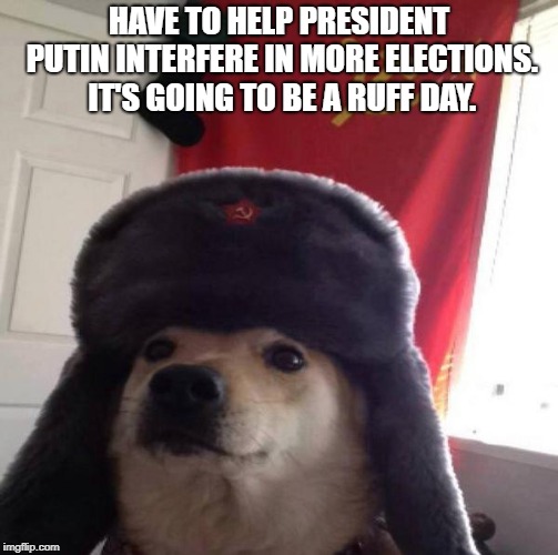 Russian Doge | HAVE TO HELP PRESIDENT PUTIN INTERFERE IN MORE ELECTIONS. IT'S GOING TO BE A RUFF DAY. | image tagged in russian doge | made w/ Imgflip meme maker