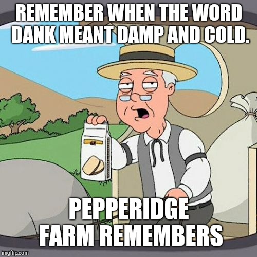 Pepperidge Farm Remembers Meme | REMEMBER WHEN THE WORD DANK MEANT DAMP AND COLD. PEPPERIDGE FARM REMEMBERS | image tagged in memes,pepperidge farm remembers | made w/ Imgflip meme maker
