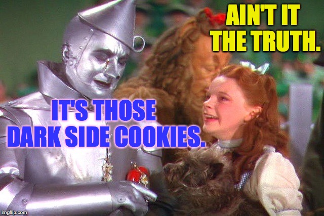 Tin man | IT'S THOSE DARK SIDE COOKIES. AIN'T IT THE TRUTH. | image tagged in tin man | made w/ Imgflip meme maker