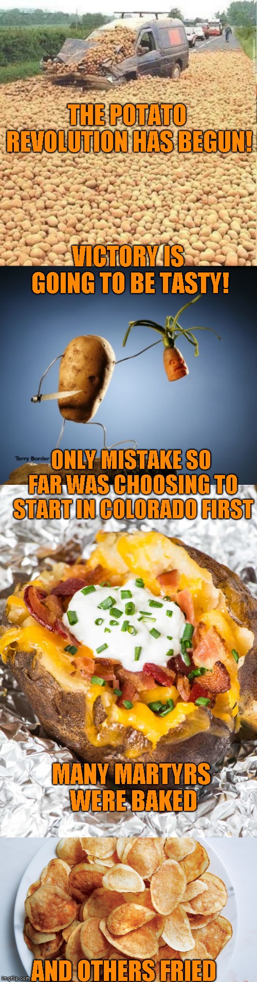 I would apologize, but I'm not going to  | THE POTATO REVOLUTION HAS BEGUN! VICTORY IS GOING TO BE TASTY! ONLY MISTAKE SO FAR WAS CHOOSING TO START IN COLORADO FIRST; MANY MARTYRS WERE BAKED; AND OTHERS FRIED | image tagged in potatoes,blatant pandering,just a joke | made w/ Imgflip meme maker