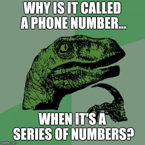 Can I have your phone (series of) number(s)? | WHY IS IT CALLED A PHONE NUMBER... WHEN IT'S A SERIES OF NUMBERS? | image tagged in memes,philosoraptor,phone number | made w/ Imgflip meme maker