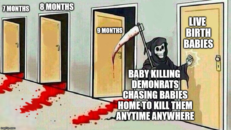 7 MONTHS 8 MONTHS 9 MONTHS LIVE BIRTH BABIES BABY KILLING DEMONRATS CHASING BABIES HOME TO KILL THEM ANYTIME ANYWHERE | made w/ Imgflip meme maker