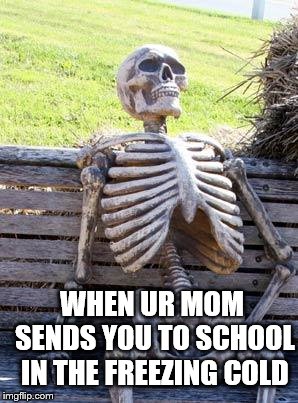 Waiting Skeleton | WHEN UR MOM SENDS YOU TO SCHOOL IN THE FREEZING COLD | image tagged in memes,waiting skeleton | made w/ Imgflip meme maker