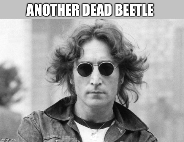 John Lennon | ANOTHER DEAD BEETLE | image tagged in john lennon | made w/ Imgflip meme maker
