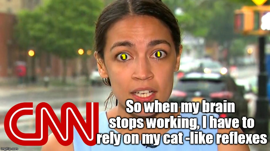 Occasio Cortez on CNN | So when my brain stops working, I have to rely on my cat -like reflexes | image tagged in occasio cortez on cnn | made w/ Imgflip meme maker