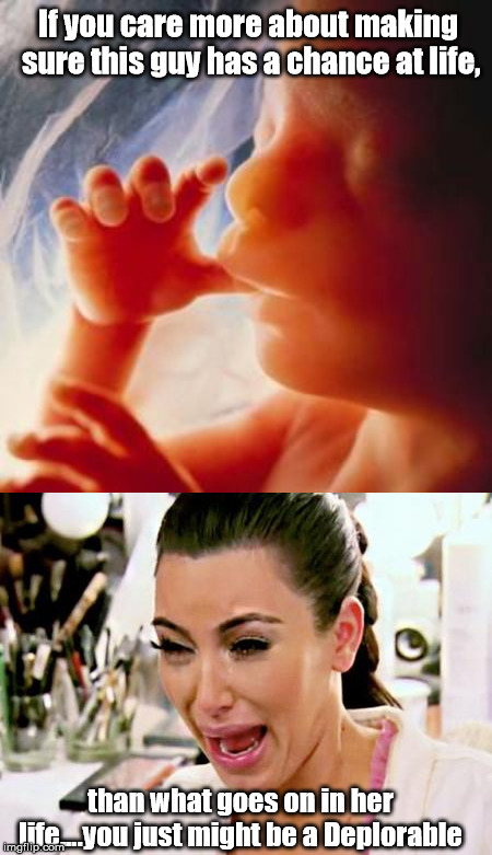 If you care more about making sure this guy has a chance at life, than what goes on in her life....you just might be a Deplorable | image tagged in kim kardashian,fetus | made w/ Imgflip meme maker