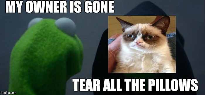 Evil Kermit Meme | MY OWNER IS GONE TEAR ALL THE PILLOWS | image tagged in memes,evil kermit | made w/ Imgflip meme maker