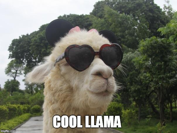 cool llama | COOL LLAMA | image tagged in cool llama | made w/ Imgflip meme maker