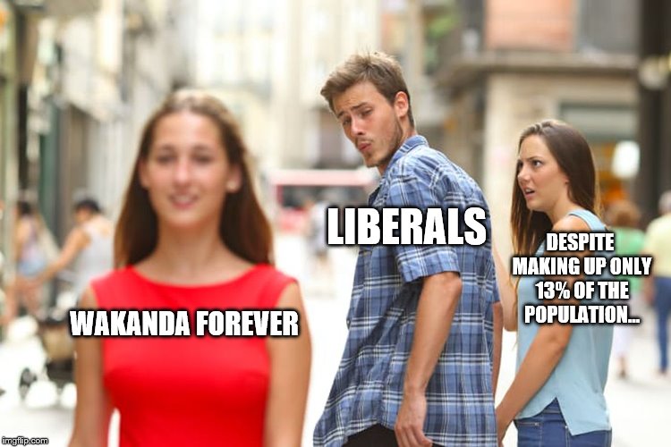 Despite only... | LIBERALS; DESPITE MAKING UP ONLY 13% OF THE POPULATION... WAKANDA FOREVER | image tagged in memes,distracted boyfriend,13percent | made w/ Imgflip meme maker