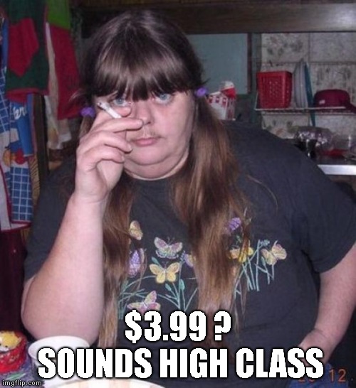 hot chick | $3.99 ? SOUNDS HIGH CLASS | image tagged in hot chick | made w/ Imgflip meme maker