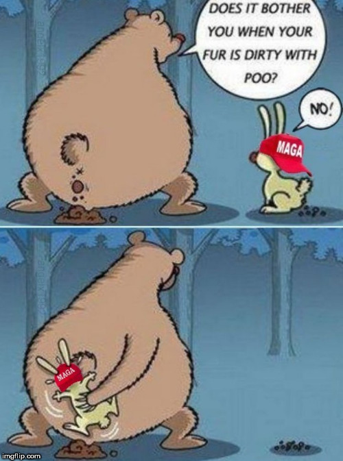 does a bear shit in the woods ? | image tagged in bear,rabbit,maga,shit,cartoon,wipe | made w/ Imgflip meme maker