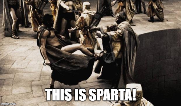 madness - this is sparta | THIS IS SPARTA! | image tagged in madness - this is sparta | made w/ Imgflip meme maker