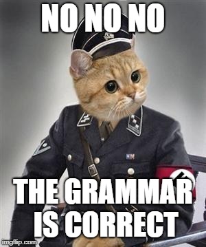 Grammar Nazi Cat | NO NO NO THE GRAMMAR IS CORRECT | image tagged in grammar nazi cat | made w/ Imgflip meme maker